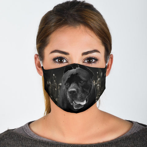 Cane Corso On Black Print Face Mask