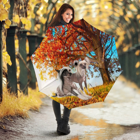 Cute Chinese Crested Dog Print Umbrellas