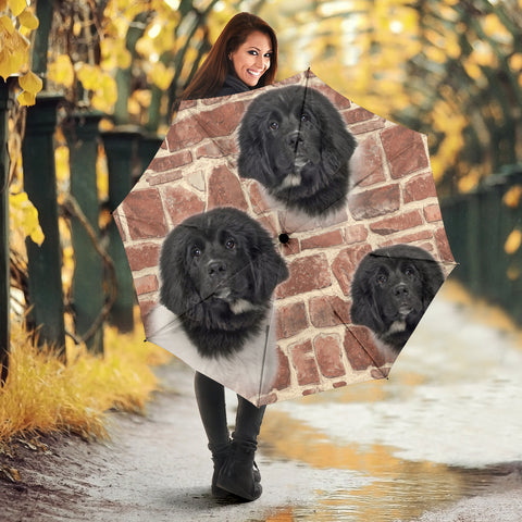 Newfoundland Print Umbrellas