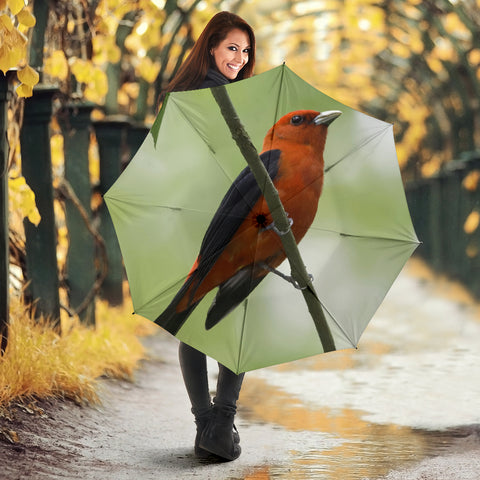 Red Bird Print Umbrellas