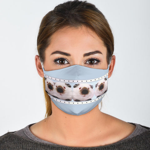 Cute Himalayan Guinea Pig Print Face Mask