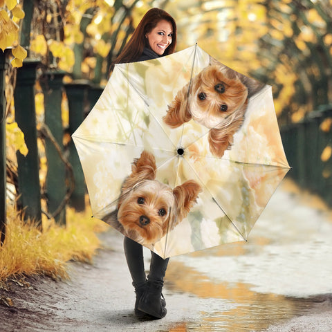 Cute Yorkshire Terrier Print Umbrellas