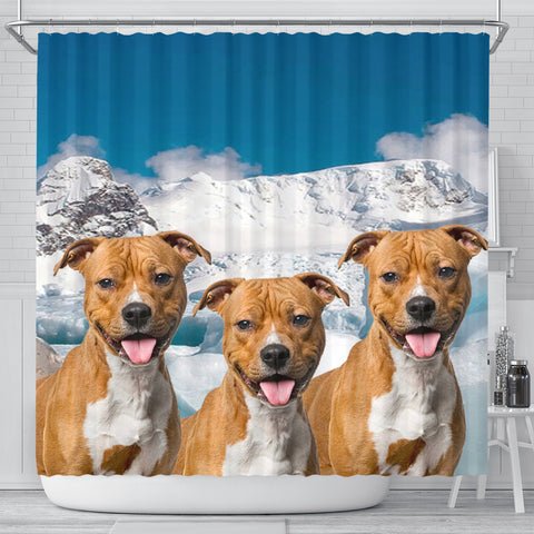 American Staffordshire Terrier On Sky Blue Print Shower Curtains