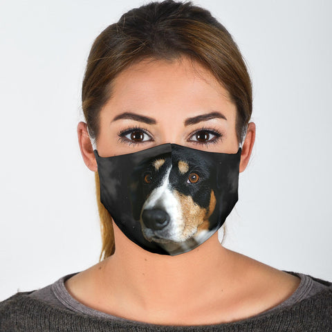 Entlebucher Mountain Dog Print Face Mask