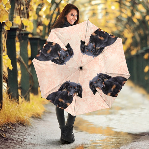 Lovely Dachshund Print Umbrellas