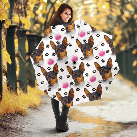 Miniature Pinscher Dog Print Umbrellas