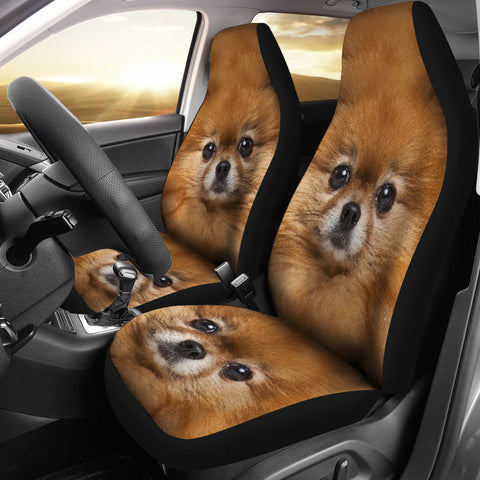 Pomeranian Dog Print Car Seat Covers