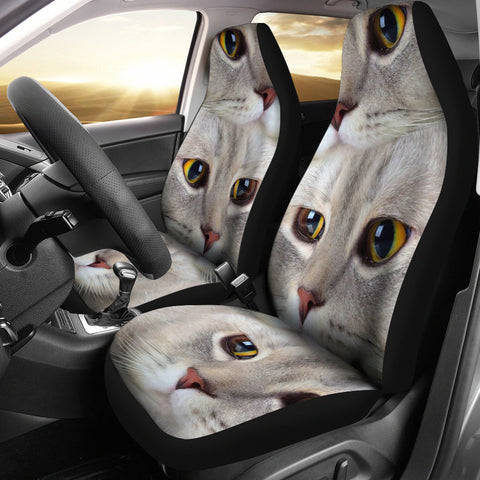 Scottish Fold Cat Print Car Seat Covers