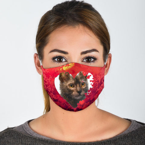 Lykoi Cat On Heart Print Face Mask