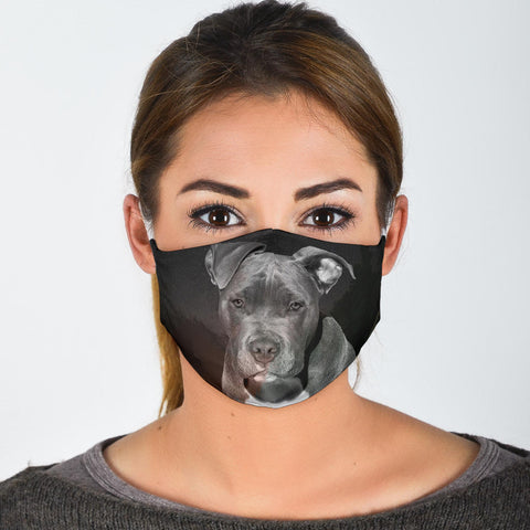 Pit Bull Terrier Print Face Mask