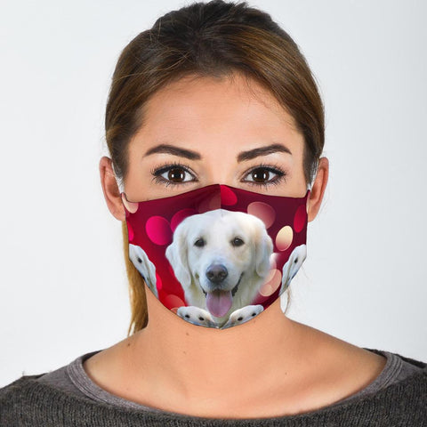 Golden Retriever On Red Print Face Mask