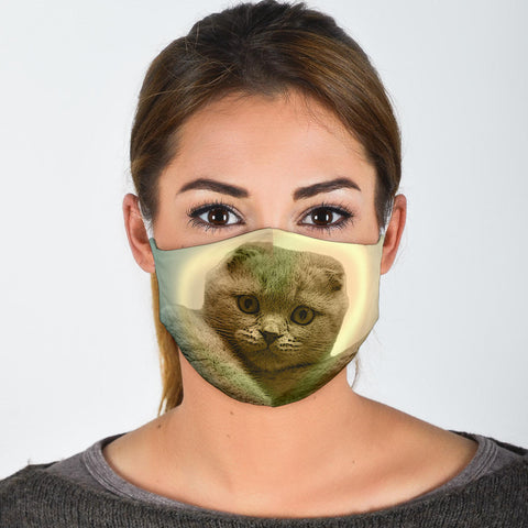 Scottish Fold Cat Print Face Mask