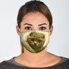 Scottish Fold Cat Print Face Mask