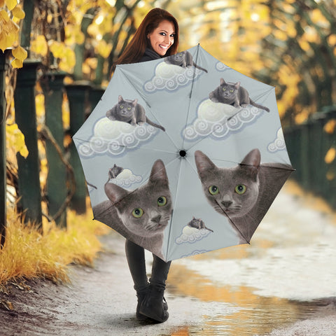 Korat Cat Print Umbrellas