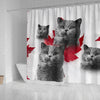 Lovely British Shorthair Cat Print Shower Curtains