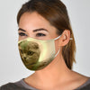 Scottish Fold Cat Print Face Mask