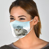 Cute Scottish Fold Cat Face Print Face Mask
