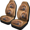 Lovely Redbone Coonhound Print Car Seat Covers