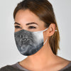 Norwegian Forest Cat Print Face Mask-Limited Edition