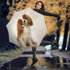 Cavalier King Charles Spaniel Print Umbrellas