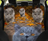 British Shorthair Cat Print Pet Seat Covers