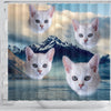 Burmilla Cat Print Shower Curtains