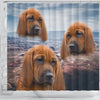 Lovely Redbone Coonhound Print Shower Curtains