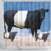 Amazing Belted Galloway Cattle (Cow) Print Shower Curtain