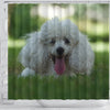 Cute Poodle Puppy Print Shower Curtains