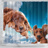 Irish Setter On Sky Blue Print Shower Curtains