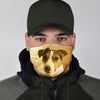 Jack Russell Terrier Print Face Mask