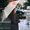 Cute Poodle Print Umbrellas