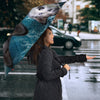 Cute Siberian Husky Print Umbrellas