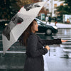 British Shorthair Cat Print Umbrellas