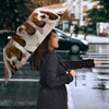 Cute Basset Hound Print Umbrellas