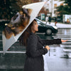 Leonberger Dog Print Umbrellas