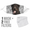 Rottweiler Print Face Mask