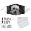 Dandie Dinmont Terrier Print Face Mask