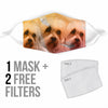 Lovely Dandie Dinmont Terrier Print Face Mask