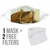 Toyger Cat Print Face Mask