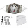 Siberian Husky Print Face Mask