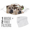 Amazing Chinook Dog Print Face Mask