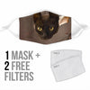 Burmese Cat Print Face Mask