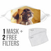 Tibetan spaniel Print Face Mask