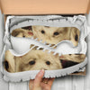 Lovely American Eskimo Dog Running Shoes