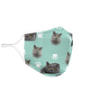 British Shorthair Cat Patterns Print Face Mask