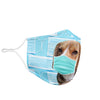 Cute Beagle Dog Print Face Mask