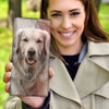 Golden Retriever Print Women's Leather Wallet