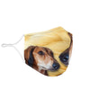 Cute Saluki Print Face Mask