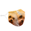 Lovely Dandie Dinmont Terrier Print Face Mask